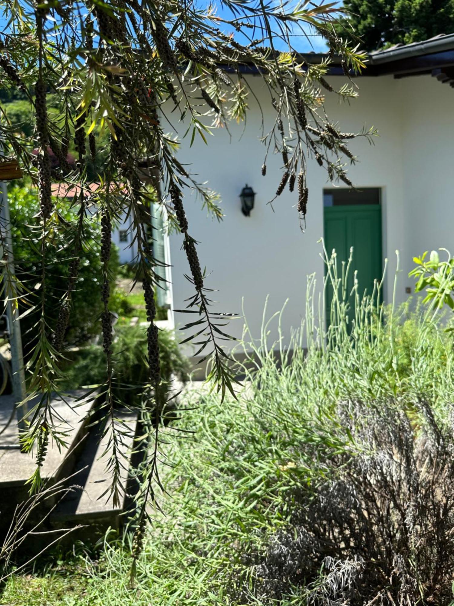 Casa Del Custode: Renovated Flat With Garden In A Villa Near The Lake Stresa Exterior foto
